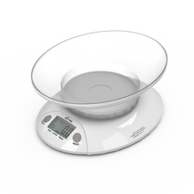 SILFAB BALANZA C/RECIP BC301